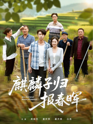 麒麟子归报春晖（36集）完整版