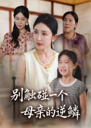 别触碰一个母亲的逆鳞（33集）免费在线看全集