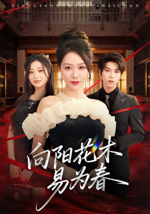 新：向阳花木易为春（72集）一起看短剧