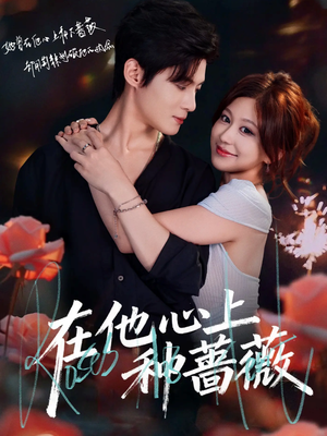 在他心上种蔷薇（81集）超好看短剧推荐