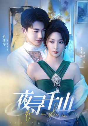 夜寻千山（60集）红果免费短剧