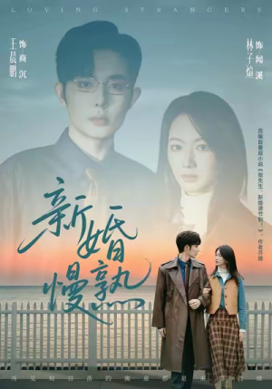 新婚慢熟（105集）短剧推荐来了