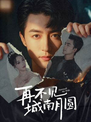 再不见城南月圆（60集）短视频追剧推荐