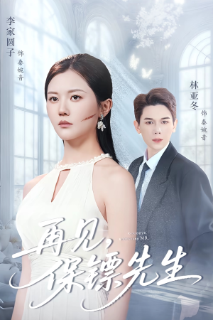 再见保镖先生（51集）排行榜前十短剧