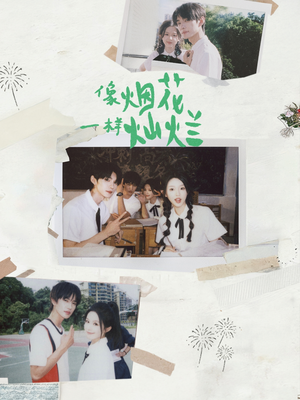 像烟花一样灿烂（60集）短剧推荐上热门