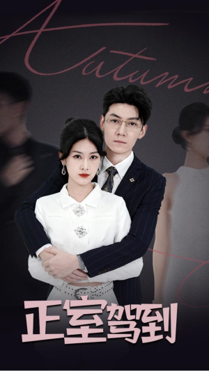 正室驾到（35集）在线看到大结局