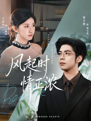 风起时情正浓（79集）一口气追完短剧
