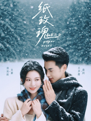 纸玫瑰第二部（80集）免费短剧资源