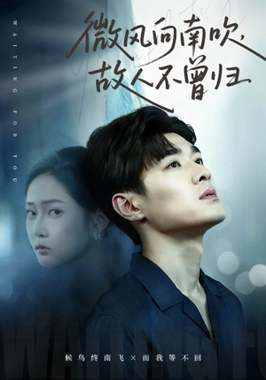 微风向南吹，故人不曾归（72集）短剧免费分享