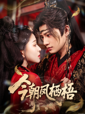 今朝凤栖梧（68集）火爆短剧抢先看