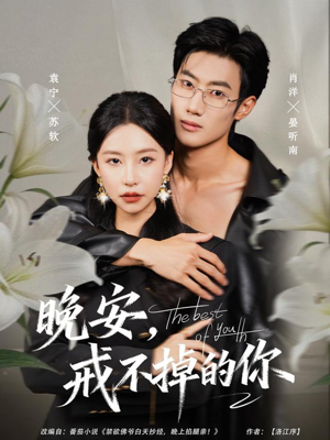 晚安，戒不掉的你（68集）红果短剧免费看