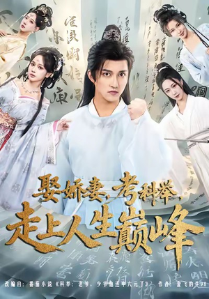 娶娇妻，考科举，走上人生巅峰（80集）热门短剧榜单