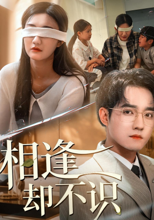 相逢却不识（77集）精彩短剧下载