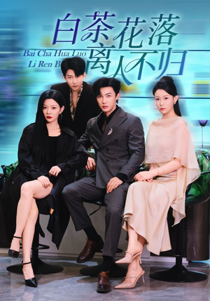 白茶花落离人（51集）一共多少集