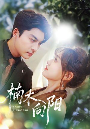 楠木向阳（70集）演的怎么样