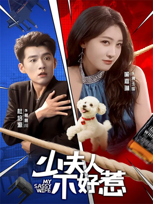 少夫人不好惹（61集）在线免费观看