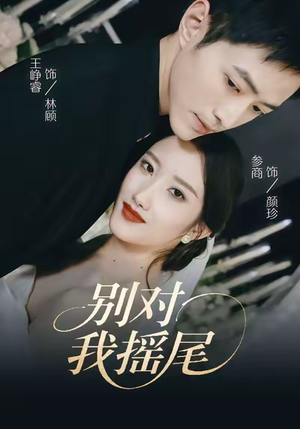 别对我摇尾（59集）口碑之选免费看