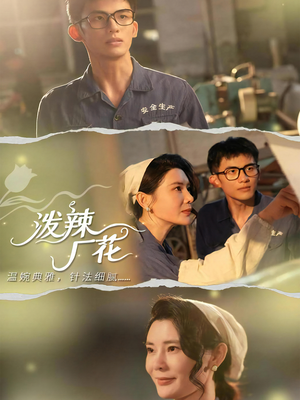 泼辣厂花（68集）全部免费看全集