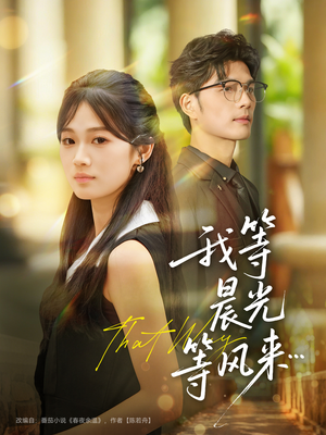 我等晨光等风来（70集）海量资源免费看