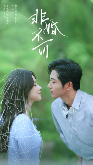 非婚不可（65集）在哪个app能看