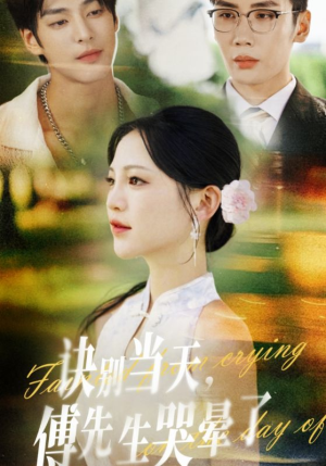 诀别当天傅先生哭晕了（62集）爱上了这部剧了