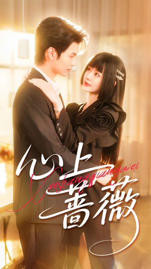 心上蔷薇(100集) 心上蔷薇(100集)短剧排行榜