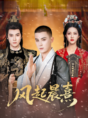 风起晨熹（63集）短剧精彩绝伦