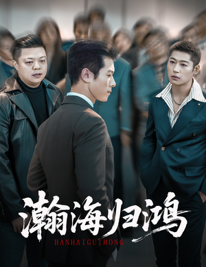 瀚海归鸿（74集）热门短剧免费看