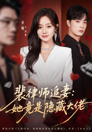 裴律师追妻：她竟是隐藏大佬（80集）在哪看