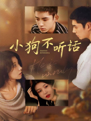 小狗不听话（70集）短剧片段分享