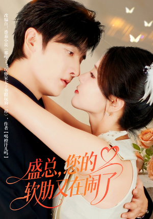 盛总，您的软肋又在闹了（80集）古装短剧热播