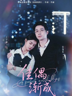 佳偶渐成（71集）热播短剧来袭