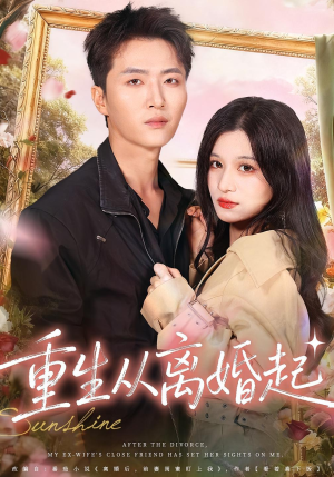 重生从离婚起（64集）80到100集