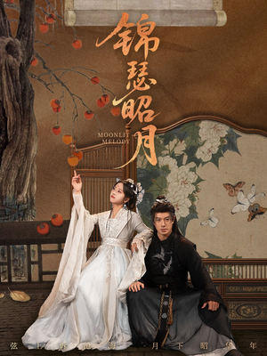 锦瑟昭月（68集）百度网盘资源