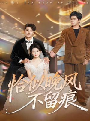 恰似晚风不留痕（61集）独家资源免费看