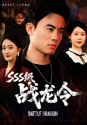 SSS级战龙令(80集) SSS级战龙令(80集)全季一次看完