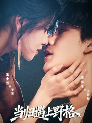 当归遇上野格（66集）1-102集
