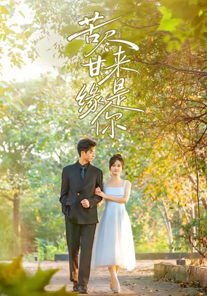 苦尽甘来缘是你（45集）评价怎么样