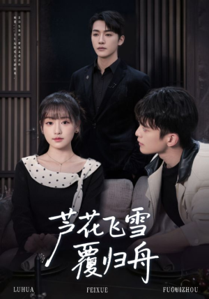 芦花飞雪覆归舟（77集）推荐热门短剧