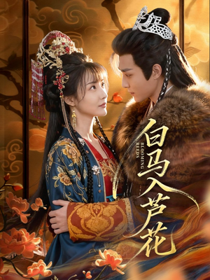 白马入芦花（59集）全网独播免费看