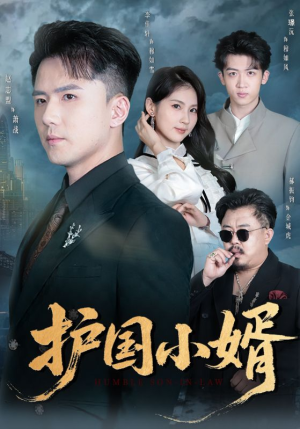 护国小婿（60集）精彩短剧来了