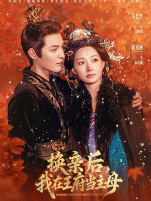 换亲后，我在王府当主母（80集）演员表