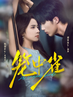 笼中雀（65集）免费短剧看不停