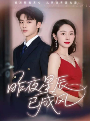 昨夜星辰已成风（75集）免费在线看