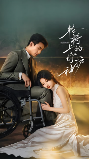 轮椅上的守护神（25集）第三季
