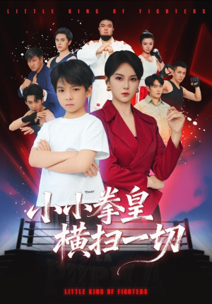 小小拳皇横扫一切（60集）女主角是谁