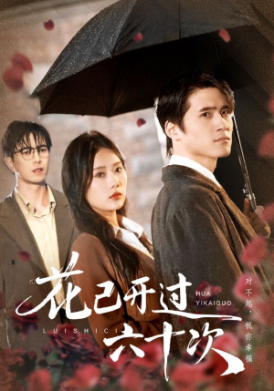 花已开过六十次（72集）在哪个平台能看