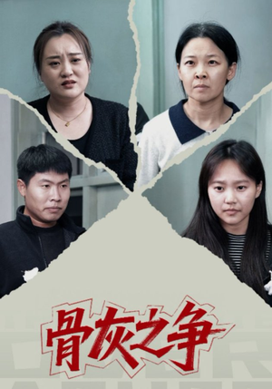 骨灰之争（30集）最新热播短剧