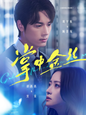 掌中金丝（60集）免费观看全集