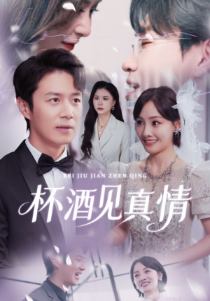 杯酒见真情（68集）第三季